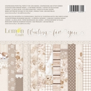 Lemoncraft - Waiting for you 03