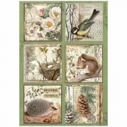 Stamperia_Single_Ricepaper_A4_6 Cards