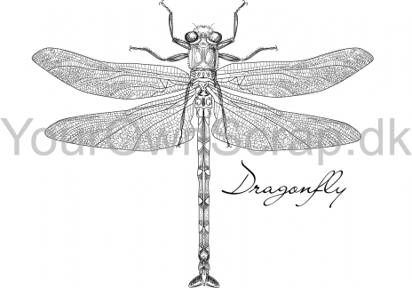 Stempel-Dragonfly