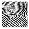 Stencil - Fingerprint - 15 x 15 cm
