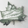 Maple Leaf-ClarityMask