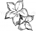 Orkide - stempel