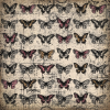 13Arts 30x30 - Butterflies