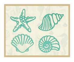 Intricutz die - Sea Breeze Collection - Seashells