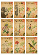 REPRINT A4 - Cutouts Carte Postale